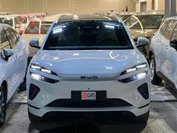 بي واي دي سيليون 06 DM-i